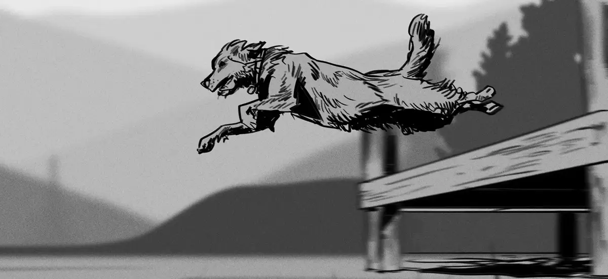 THE FARMER'S DOG — image 11